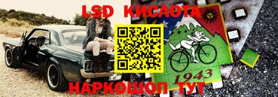 шишки Можга