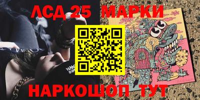шишки Можга