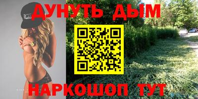 дживик Моздок
