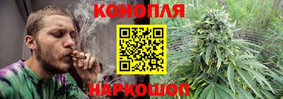 шишки Можга