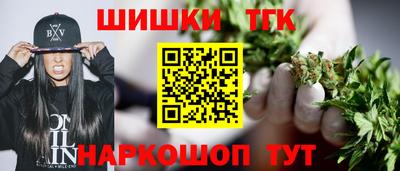 дживик Моздок