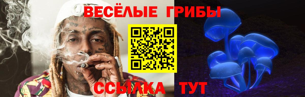 Урюпинск  Галлюциногенные грибы Psilocybe  Вход с VPN  Псилоцибиновые грибы Psilocybine cubensis 